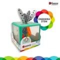 sassy zabawka stem.jpg